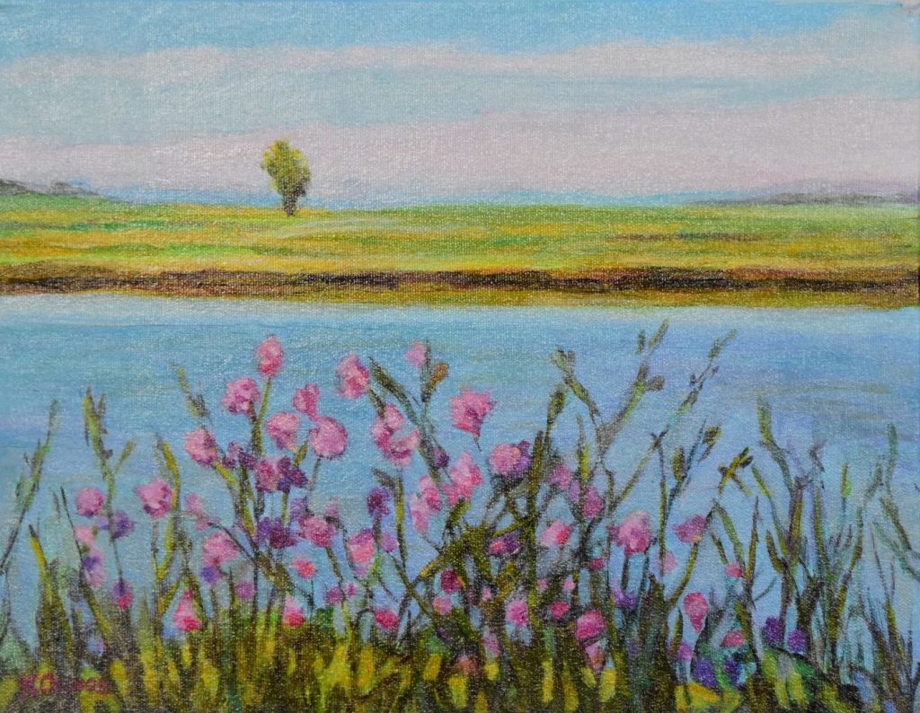 Looking West over Nikomekl River